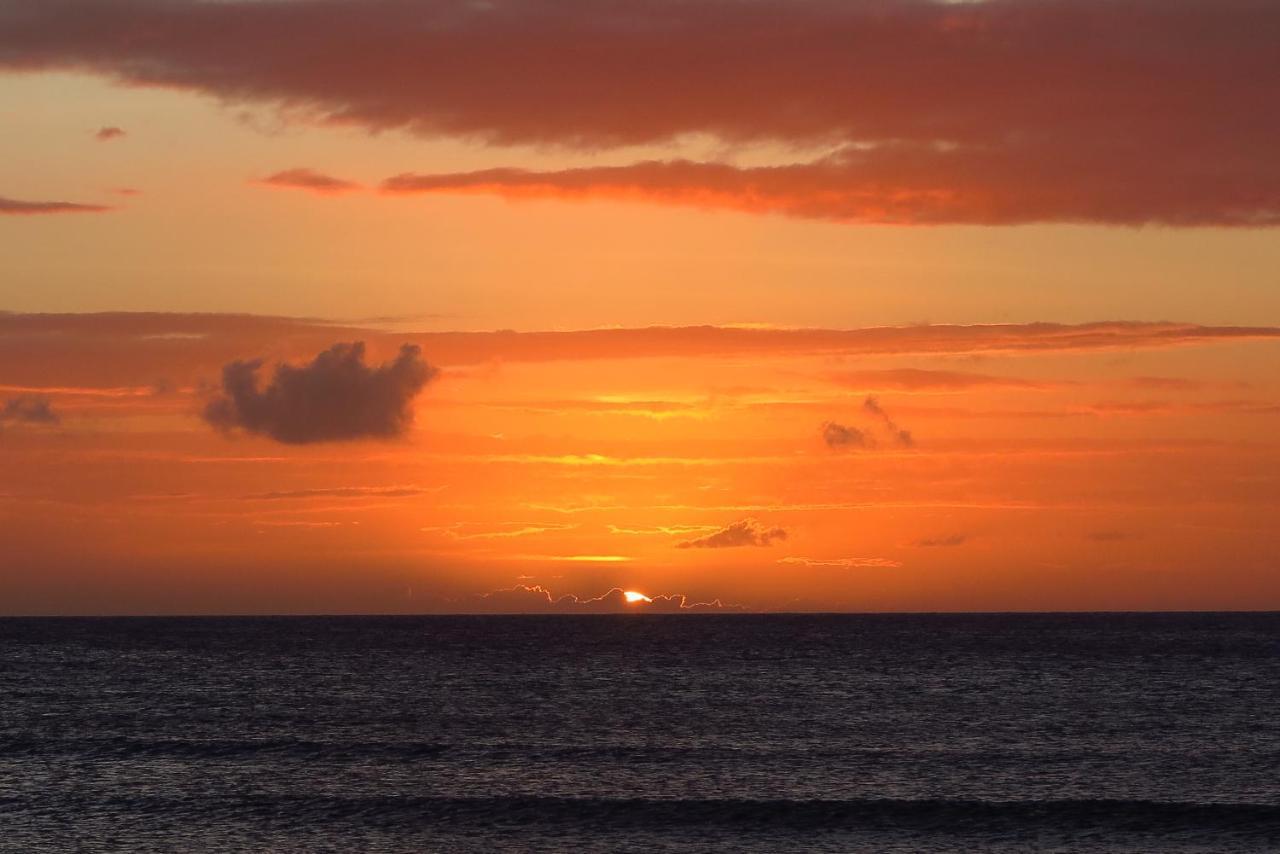 Aruba Sunset Beach Studios Palm Beach Exterior foto
