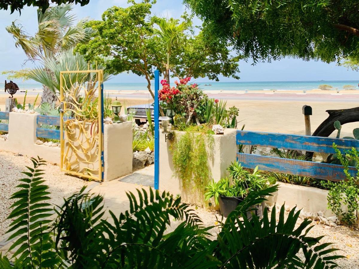 Aruba Sunset Beach Studios Palm Beach Exterior foto