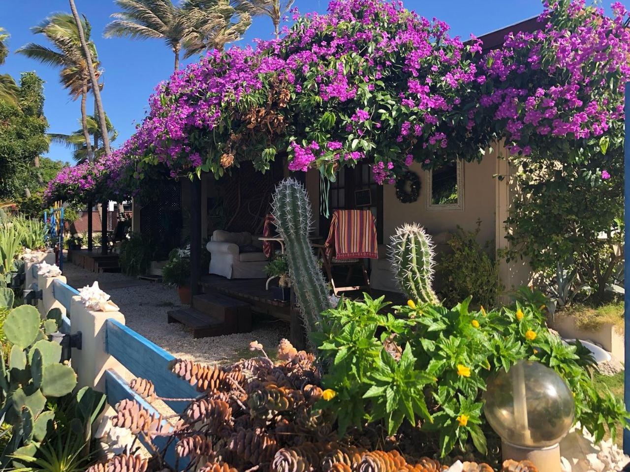 Aruba Sunset Beach Studios Palm Beach Exterior foto